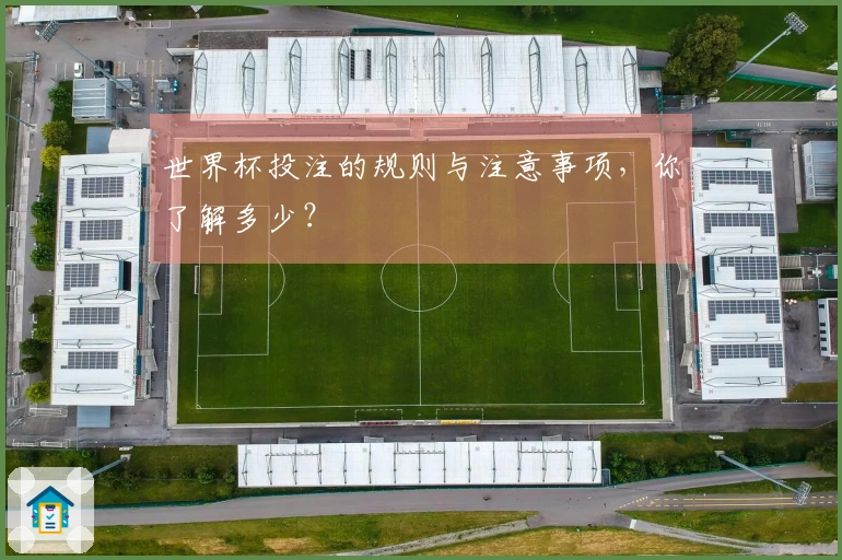 世界杯投注的规则与注意事项,你了解多少?