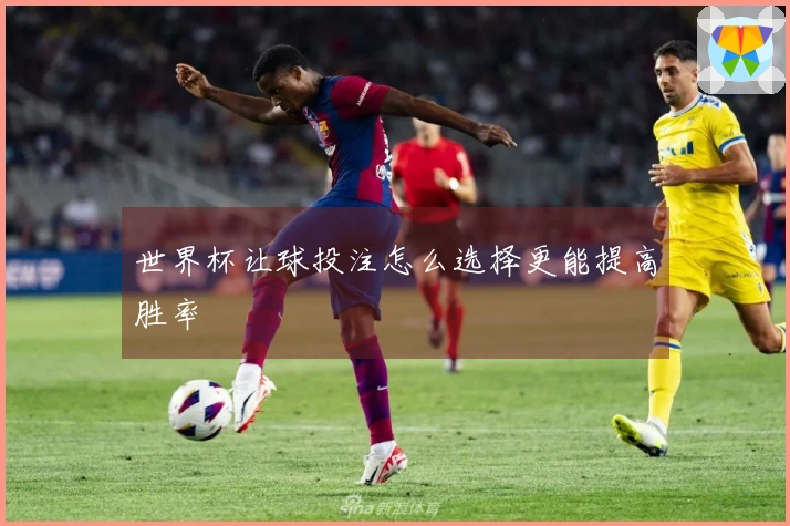 世界杯让球投注怎么选择更能提高胜率