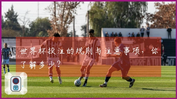 世界杯投注的规则与注意事项，你了解多少？