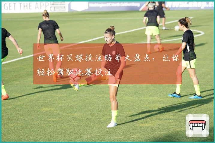 世界杯买球投注赔率大盘点，让你轻松驾驭比赛投注